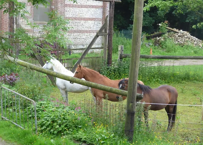 Etretat's Country house Etretat